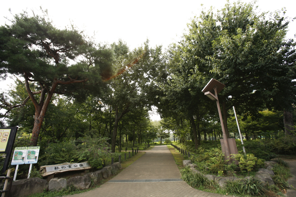 kashiwanomiya_park_01