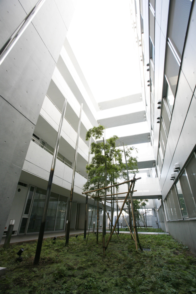 superal_kinuta_outward_07