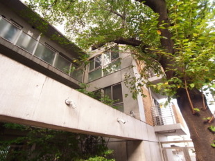 【募集終了】用賀、桜の木を囲むデザイナーズマンション