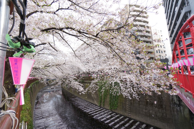 buenacasa-aobadai-outward01