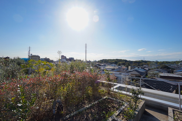 refugeo`forest-N307-rooftop-01-sohotokyo
