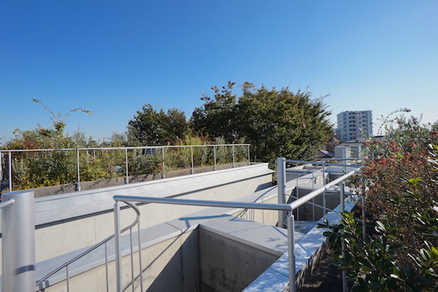 refugeo`forest-N307-rooftop-07-sohotokyo