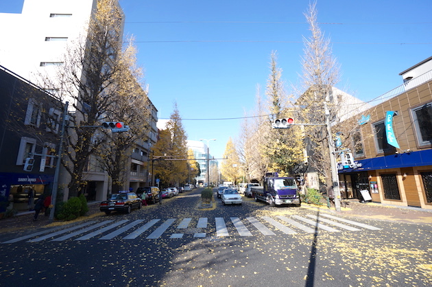 forma-shirokane-701-01-sohotokyo