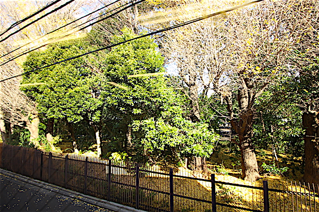 noblessembldg-2f-room-33-sohotokyo