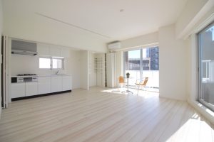 モアリッシェル東新宿-501_LDK  00008