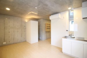 Modelia Days_gokokuji_102 D type  00003