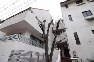 imperial-takanawa_101_00012