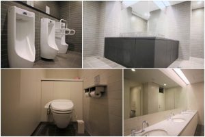 kojimachiparkhouse_toilet_sohotokyo