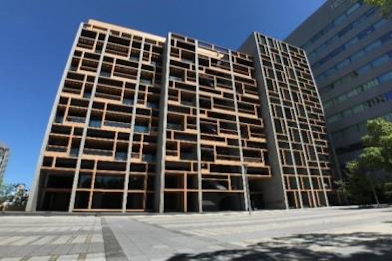 新木場3分、木に囲まれた唯一無二のモダンオフィス 室内