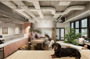 新富町1分、愛犬と働くセットアップオフィス<br>[中央区/163万/143㎡]