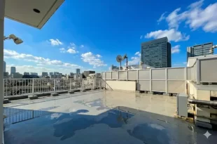 表参道。ルーフルバルコニー付2LDKのSOHOライフ<br>[渋谷区/63万/121㎡]