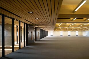 新木場3分、木に囲まれた唯一無二のモダンオフィス<br>[江東区/ASK/483㎡]